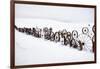 Fence Made of Old Iron Wheels on Snow-Terry Eggers-Framed Photographic Print