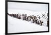 Fence Made of Old Iron Wheels on Snow-Terry Eggers-Framed Photographic Print