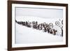 Fence Made of Old Iron Wheels on Snow-Terry Eggers-Framed Photographic Print