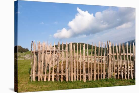 Fence, Old and Weathered, in Biogradska Gora National Park, Montenegro-ollirg-Stretched Canvas