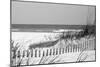 Fence on the beach, Bon Secour National Wildlife Refuge, Gulf of Mexico, Bon Secour, Baldwin Cou...-null-Mounted Photographic Print