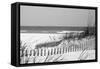 Fence on the beach, Bon Secour National Wildlife Refuge, Gulf of Mexico, Bon Secour, Baldwin Cou...-null-Framed Stretched Canvas