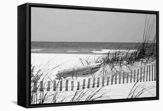 Fence on the beach, Bon Secour National Wildlife Refuge, Gulf of Mexico, Bon Secour, Baldwin Cou...-null-Framed Stretched Canvas