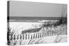 Fence on the beach, Bon Secour National Wildlife Refuge, Gulf of Mexico, Bon Secour, Baldwin Cou...-null-Stretched Canvas