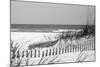 Fence on the beach, Bon Secour National Wildlife Refuge, Gulf of Mexico, Bon Secour, Baldwin Cou...-null-Mounted Photographic Print