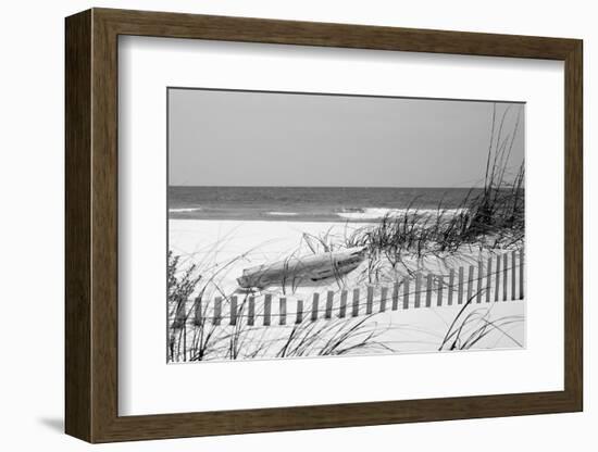 Fence on the beach, Bon Secour National Wildlife Refuge, Gulf of Mexico, Bon Secour, Baldwin Cou...-null-Framed Photographic Print