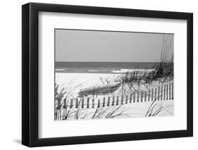 Fence on the beach, Bon Secour National Wildlife Refuge, Gulf of Mexico, Bon Secour, Baldwin Cou...-null-Framed Photographic Print