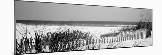 Fence on the Beach, Bon Secour National Wildlife Refuge, Gulf of Mexico, Bon Secour-null-Mounted Photographic Print