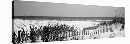 Fence on the Beach, Bon Secour National Wildlife Refuge, Gulf of Mexico, Bon Secour-null-Stretched Canvas