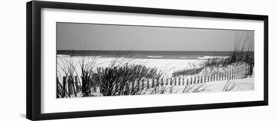 Fence on the Beach, Bon Secour National Wildlife Refuge, Gulf of Mexico, Bon Secour-null-Framed Premium Photographic Print