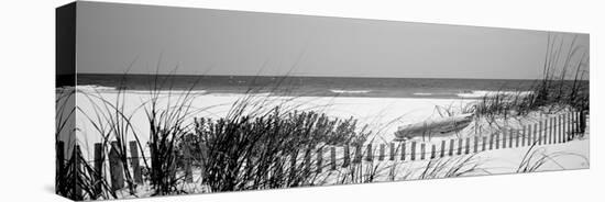 Fence on the Beach, Bon Secour National Wildlife Refuge, Gulf of Mexico, Bon Secour-null-Stretched Canvas