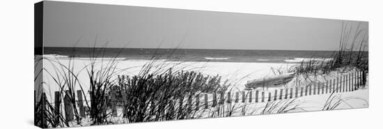 Fence on the Beach, Bon Secour National Wildlife Refuge, Gulf of Mexico, Bon Secour-null-Stretched Canvas