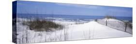 Fence on the Beach, Gulf of Mexico, St. Joseph Peninsula State Park, Florida, USA-null-Stretched Canvas