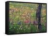 Fence Post and Wildflowers, Lytle, Texas, USA-Darrell Gulin-Framed Stretched Canvas