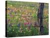 Fence Post and Wildflowers, Lytle, Texas, USA-Darrell Gulin-Stretched Canvas