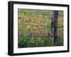 Fence Post and Wildflowers, Lytle, Texas, USA-Darrell Gulin-Framed Premium Photographic Print