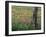 Fence Post and Wildflowers, Lytle, Texas, USA-Darrell Gulin-Framed Premium Photographic Print