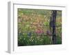 Fence Post and Wildflowers, Lytle, Texas, USA-Darrell Gulin-Framed Premium Photographic Print