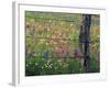 Fence Post and Wildflowers, Lytle, Texas, USA-Darrell Gulin-Framed Photographic Print