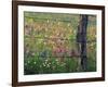 Fence Post and Wildflowers, Lytle, Texas, USA-Darrell Gulin-Framed Photographic Print