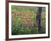 Fence Post and Wildflowers, Lytle, Texas, USA-Darrell Gulin-Framed Photographic Print