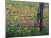 Fence Post and Wildflowers, Lytle, Texas, USA-Darrell Gulin-Mounted Photographic Print