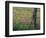 Fence Post and Wildflowers, Lytle, Texas, USA-Darrell Gulin-Framed Photographic Print