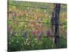 Fence Post and Wildflowers, Lytle, Texas, USA-Darrell Gulin-Stretched Canvas