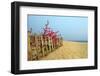 Fence, Sand Dunes and Flower in Seaside-kenny001-Framed Photographic Print