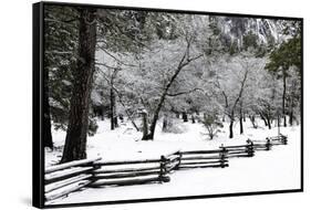 Fence, Trees and Snow-Doug Meek-Framed Stretched Canvas