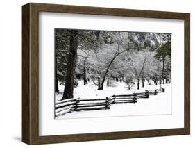 Fence, Trees and Snow-Doug Meek-Framed Photographic Print