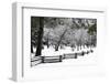 Fence, Trees and Snow-Doug Meek-Framed Photographic Print