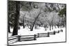 Fence, Trees and Snow-Doug Meek-Mounted Photographic Print