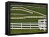 Fence Winding Across Calumet Horse Farm, Lexington, Kentucky, USA-Adam Jones-Framed Stretched Canvas