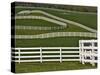 Fence Winding Across Calumet Horse Farm, Lexington, Kentucky, USA-Adam Jones-Stretched Canvas