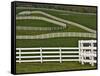 Fence Winding Across Calumet Horse Farm, Lexington, Kentucky, USA-Adam Jones-Framed Stretched Canvas