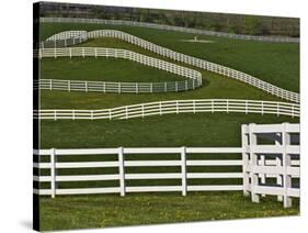 Fence Winding Across Calumet Horse Farm, Lexington, Kentucky, USA-Adam Jones-Stretched Canvas