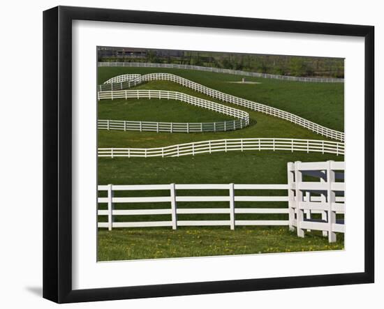 Fence Winding Across Calumet Horse Farm, Lexington, Kentucky, USA-Adam Jones-Framed Photographic Print