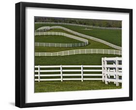 Fence Winding Across Calumet Horse Farm, Lexington, Kentucky, USA-Adam Jones-Framed Photographic Print