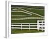 Fence Winding Across Calumet Horse Farm, Lexington, Kentucky, USA-Adam Jones-Framed Photographic Print