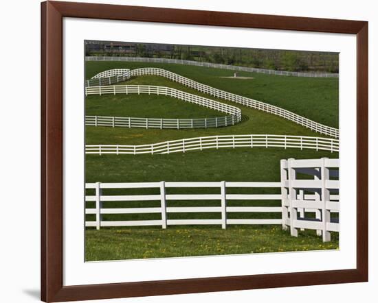 Fence Winding Across Calumet Horse Farm, Lexington, Kentucky, USA-Adam Jones-Framed Photographic Print