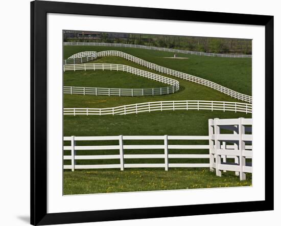 Fence Winding Across Calumet Horse Farm, Lexington, Kentucky, USA-Adam Jones-Framed Photographic Print