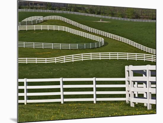 Fence Winding Across Calumet Horse Farm, Lexington, Kentucky, USA-Adam Jones-Mounted Photographic Print