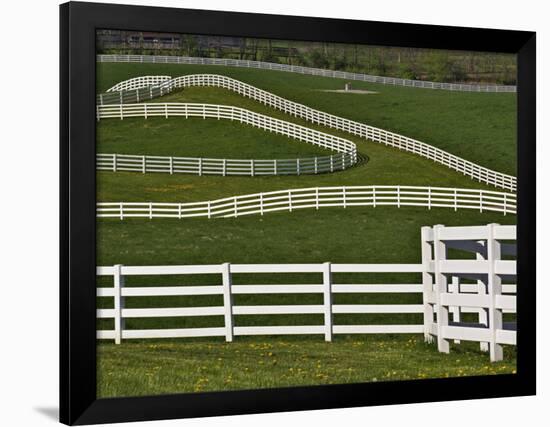 Fence Winding Across Calumet Horse Farm, Lexington, Kentucky, USA-Adam Jones-Framed Photographic Print