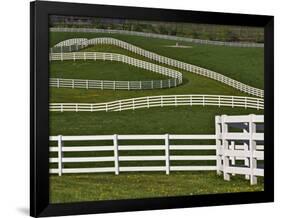 Fence Winding Across Calumet Horse Farm, Lexington, Kentucky, USA-Adam Jones-Framed Photographic Print