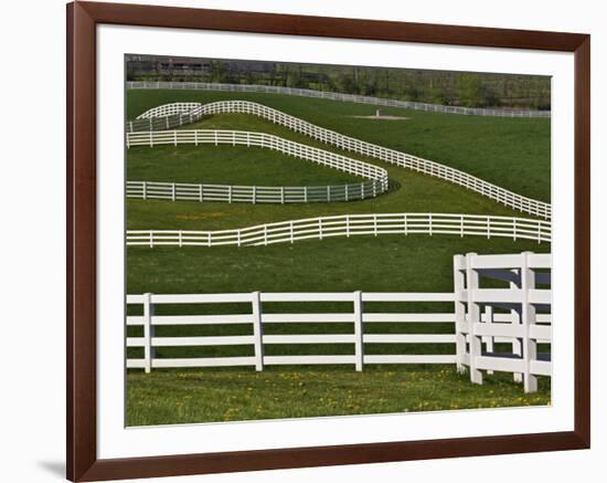 Fence Winding Across Calumet Horse Farm, Lexington, Kentucky, USA-Adam Jones-Framed Photographic Print