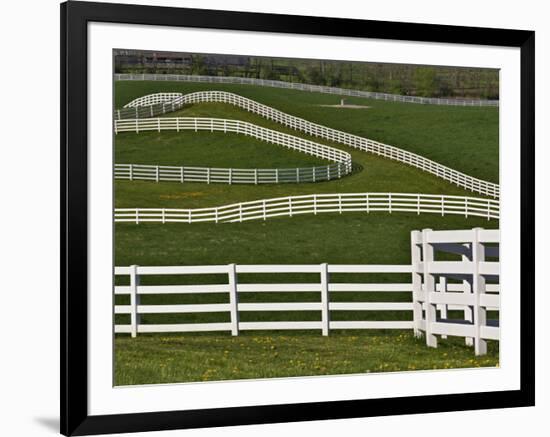 Fence Winding Across Calumet Horse Farm, Lexington, Kentucky, USA-Adam Jones-Framed Photographic Print