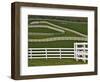 Fence Winding Across Calumet Horse Farm, Lexington, Kentucky, USA-Adam Jones-Framed Photographic Print