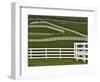 Fence Winding Across Calumet Horse Farm, Lexington, Kentucky, USA-Adam Jones-Framed Photographic Print