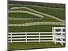 Fence Winding Across Calumet Horse Farm, Lexington, Kentucky, USA-Adam Jones-Mounted Photographic Print